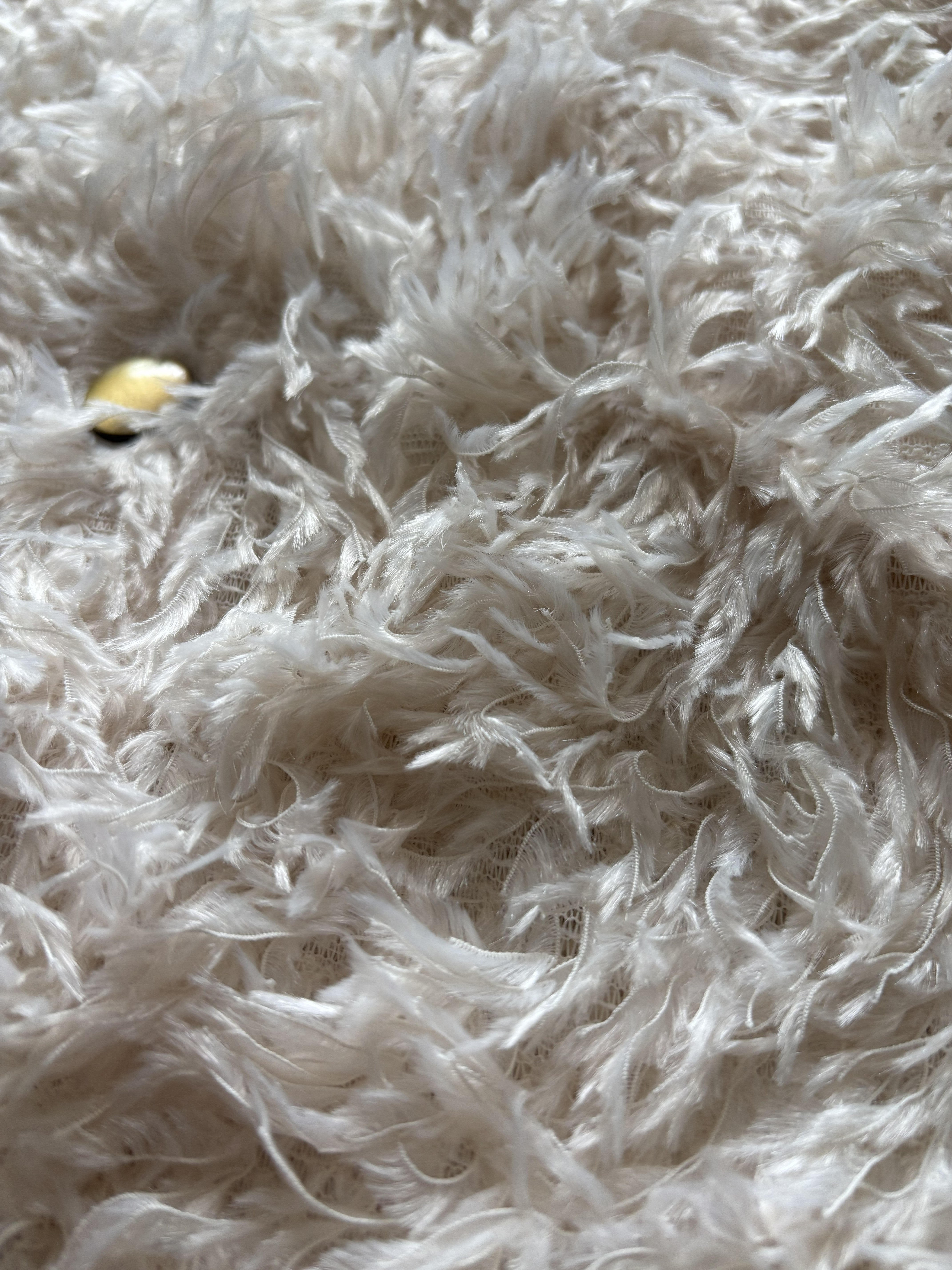 Furry Jacket
